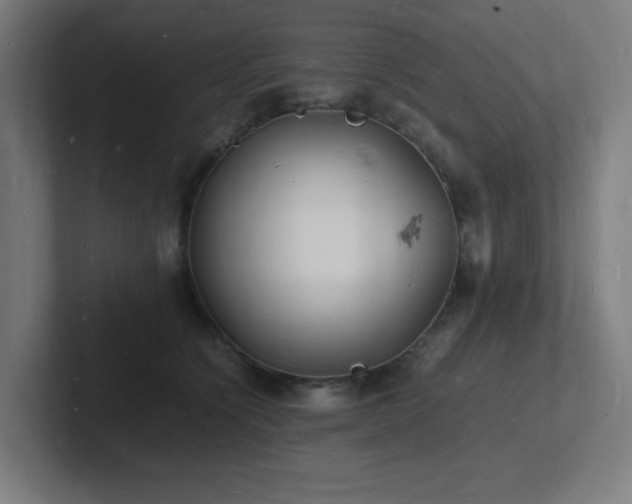 X0000102780564200808181152