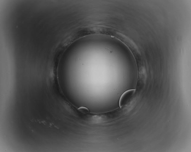 X0000102780566200808181152