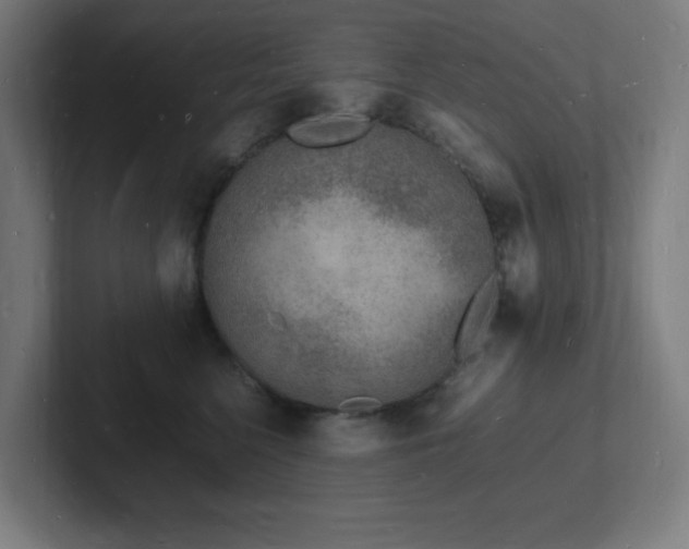 X0000102780568200808181152