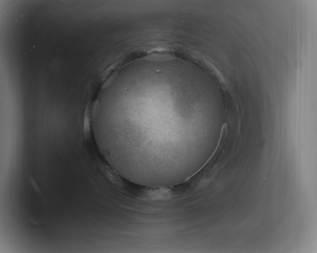 X0000102780576200808181152