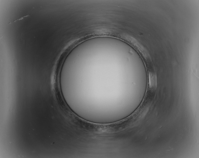 X0000102780579200808181151