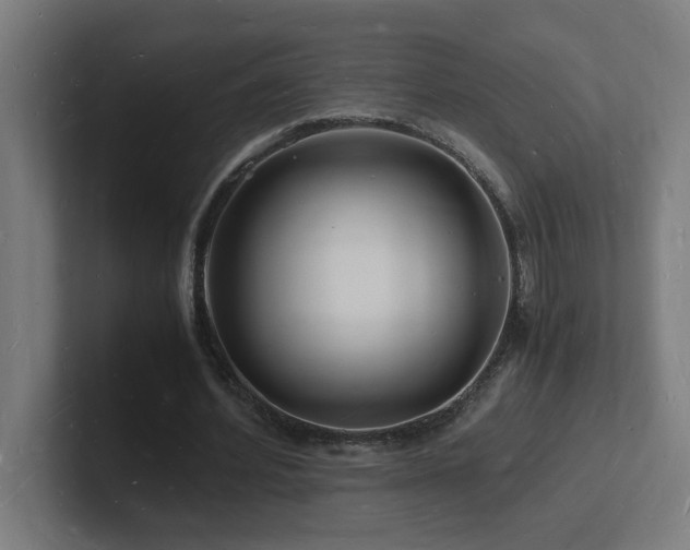 X0000102780580200808181151