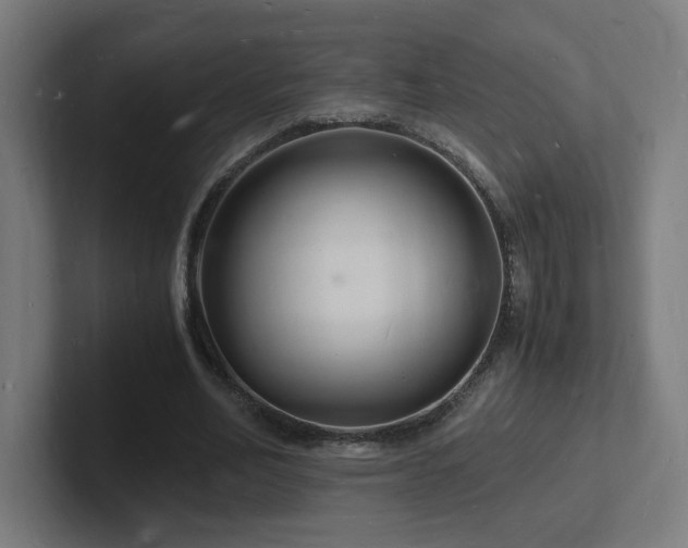 X0000102780582200808181151