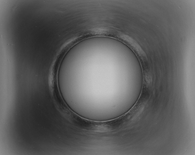 X0000102780583200808181151