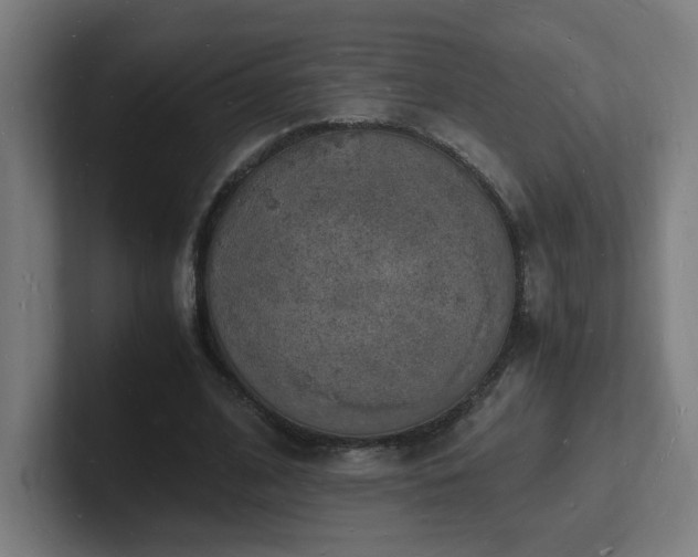 X0000102780584200808181151