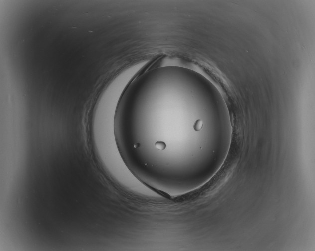 X0000102780585200808181151