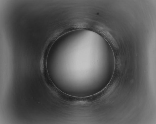 X0000102780586200808181151