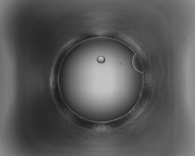 X0000102780587200808181151