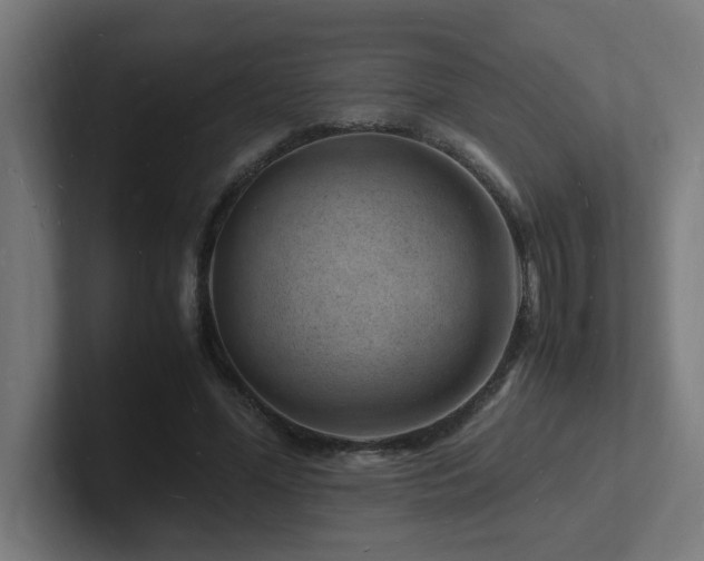 X0000102780588200808181151