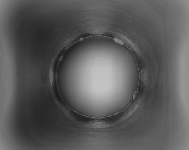 X0000102780589200808181151