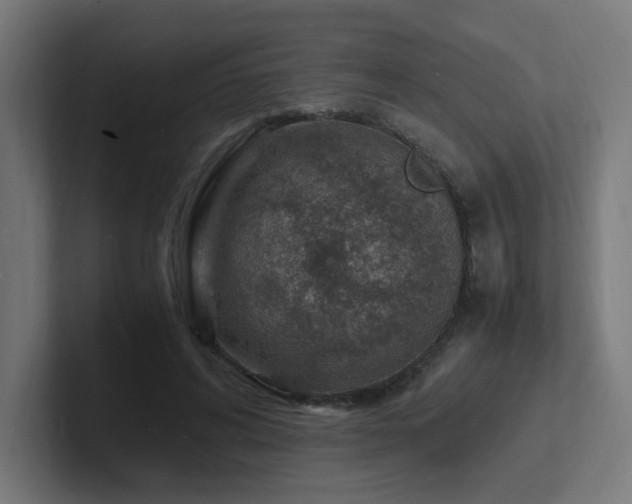 X0000102780592200808181151