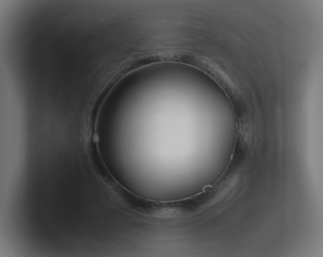 X0000102780593200808181151