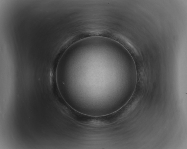 X0000102780596200808181151