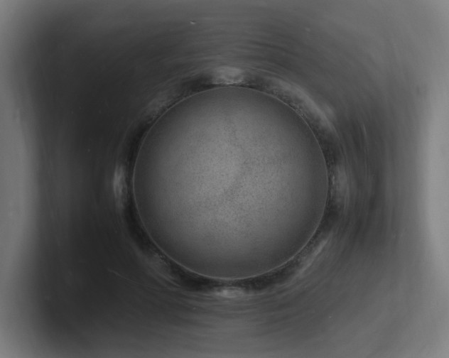 X0000102780598200808181151