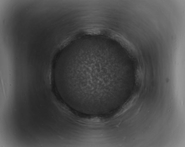 X0000102780600200808181151