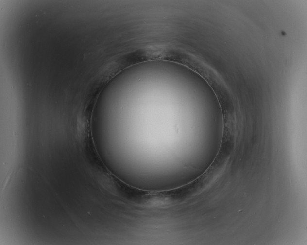 X0000102780601200808181151