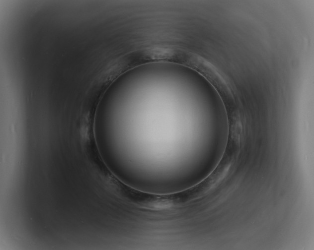 X0000102780604200808181151