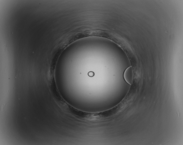 X0000102780607200808181151