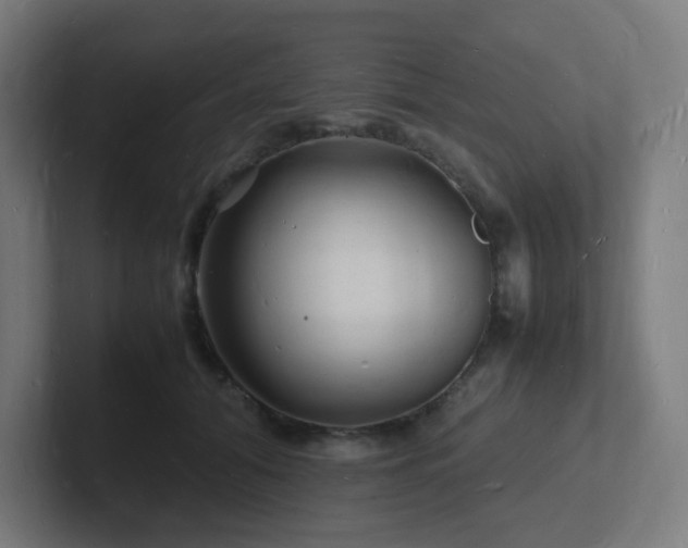 X0000102780608200808181151