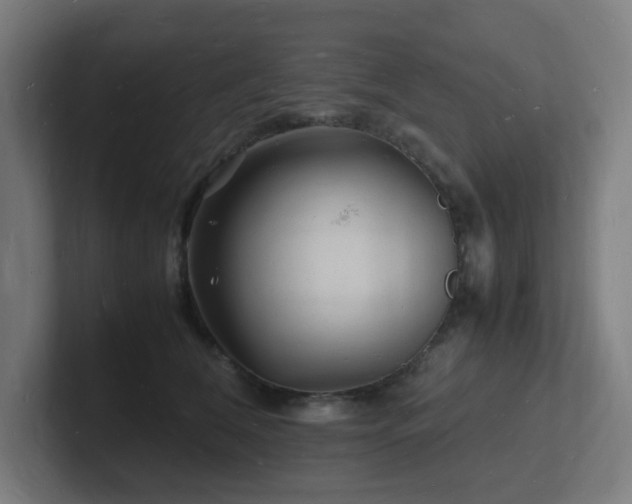 X0000102780612200808181151