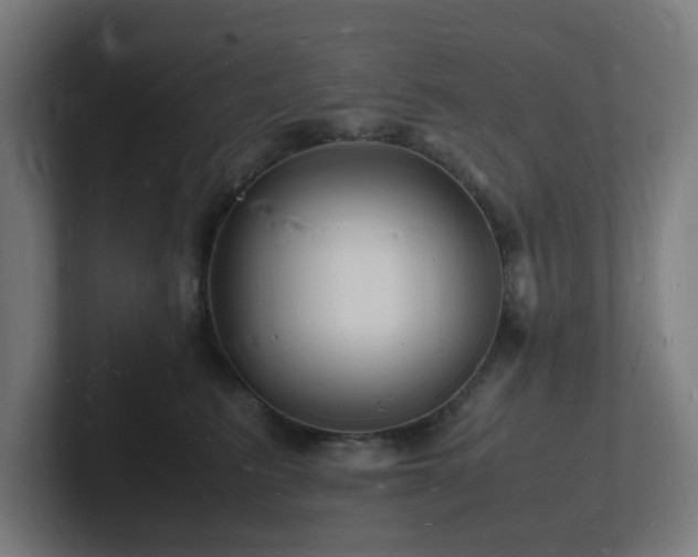 X0000102780615200808181151