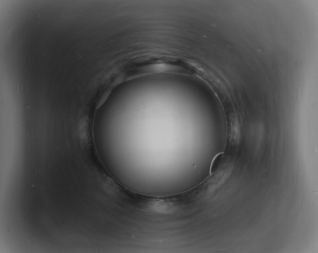 X0000102780616200808181151