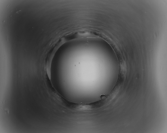 X0000102780617200808181151