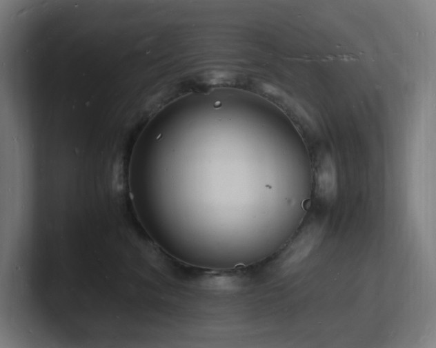 X0000102780620200808181151