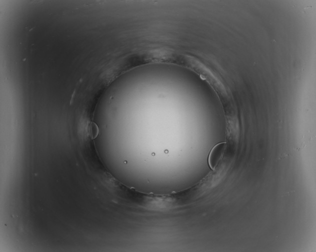 X0000102780621200808181151