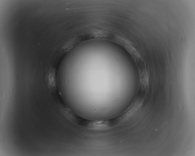 X0000102780622200808181151