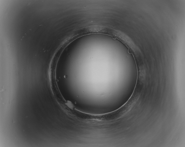 X0000102780626200808181150