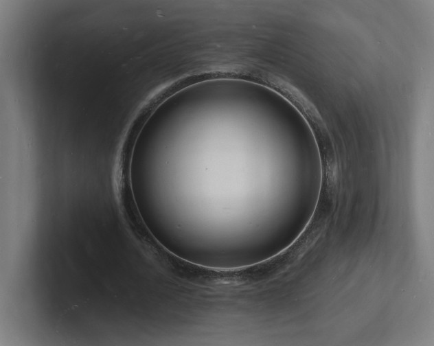 X0000102780628200808181150