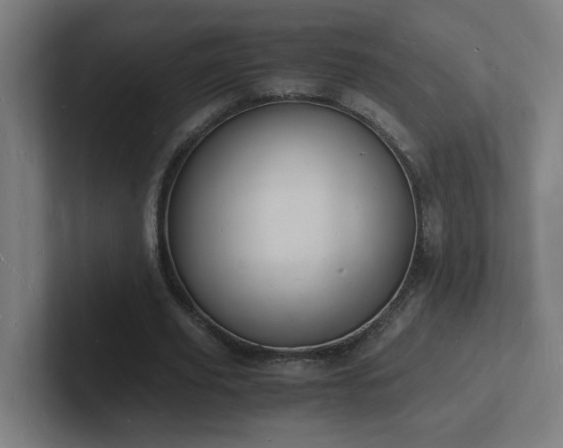 X0000102780629200808181150