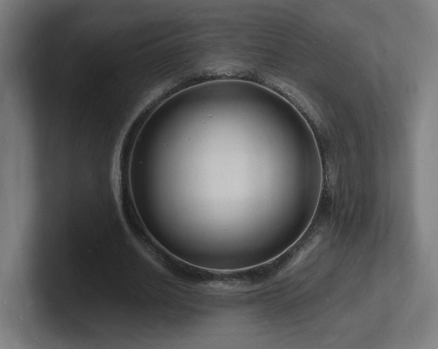 X0000102780630200808181150