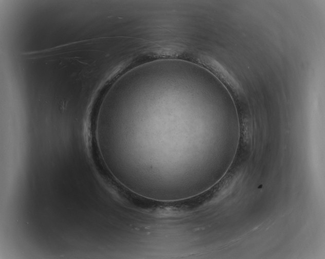 X0000102780634200808181150