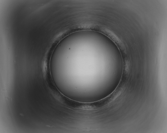 X0000102780636200808181150