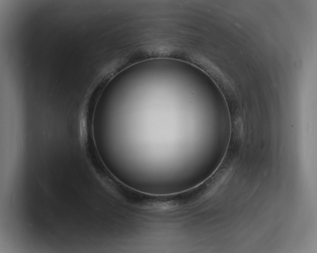 X0000102780638200808181150