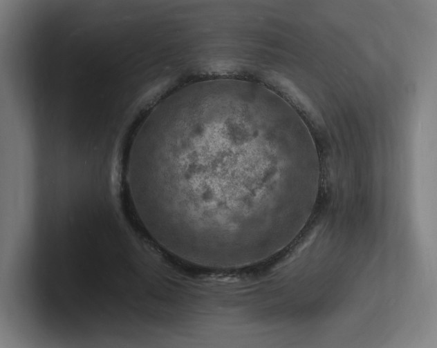 X0000102780640200808181150