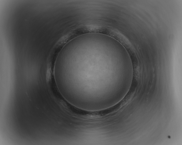 X0000102780644200808181150