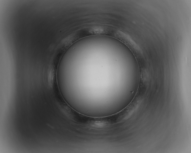 X0000102780645200808181150