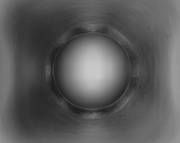 X0000102780646200808181150