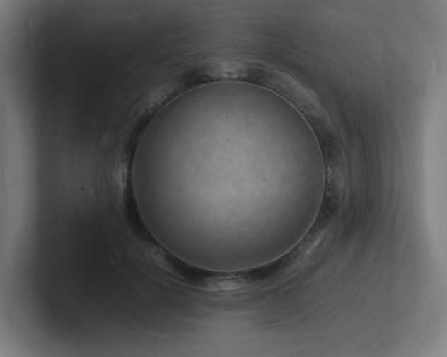 X0000102780652200808181151