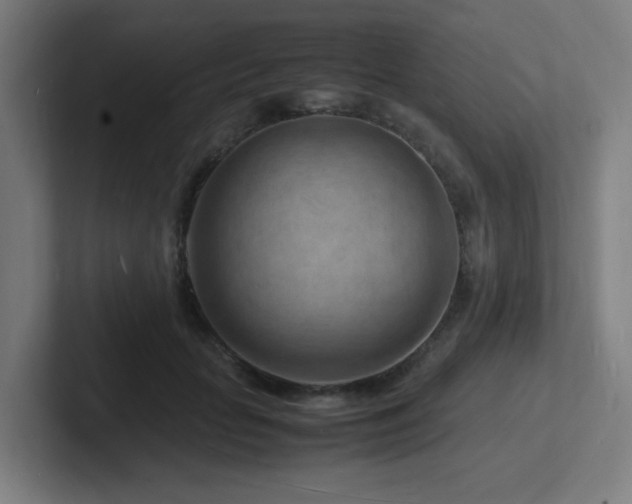 X0000102780653200808181151