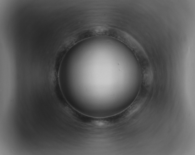 X0000102780654200808181151