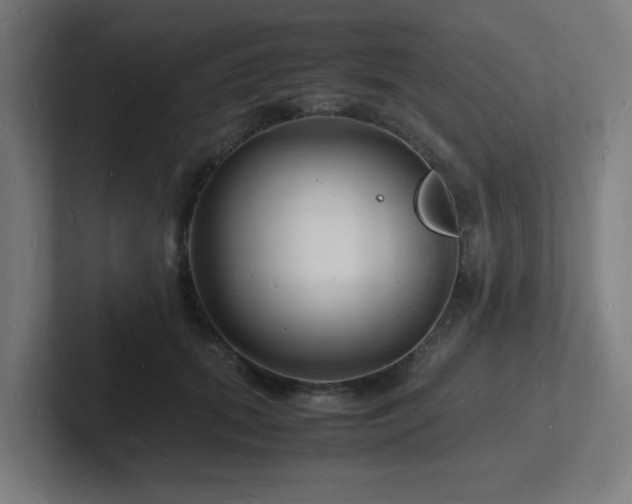 X0000102780655200808181151