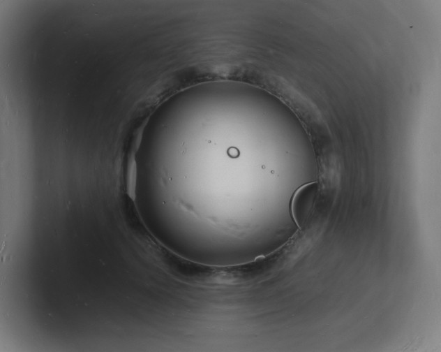 X0000102780656200808181151