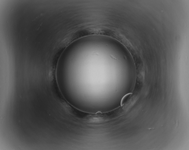 X0000102780658200808181151