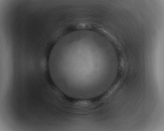 X0000102780659200808181151