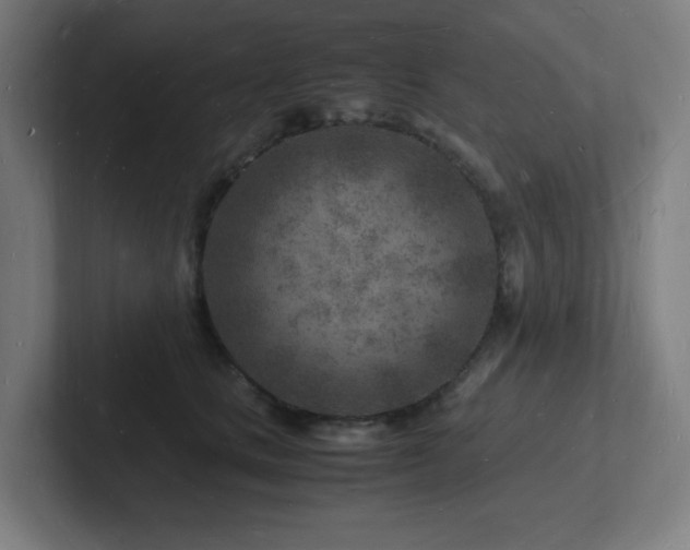 X0000102780661200808181151