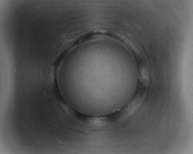 X0000102780664200808181151